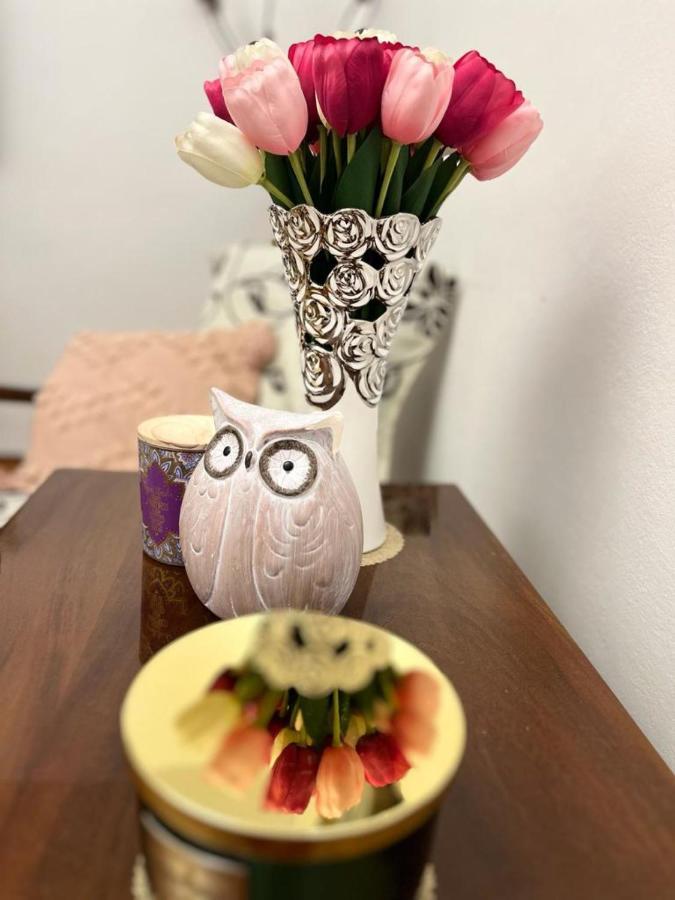 Lala'S Sweet Nest Lejlighed Călimăneşti Eksteriør billede